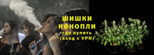 мдпв Бронницы