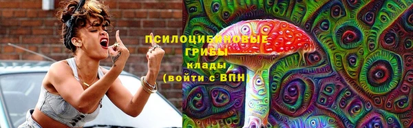 гидропоника Бородино