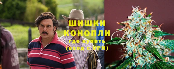 гидропоника Бородино