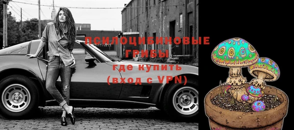 гидропоника Бородино