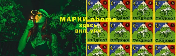 мдпв Бронницы
