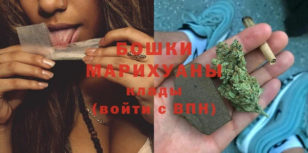 гидропоника Бородино