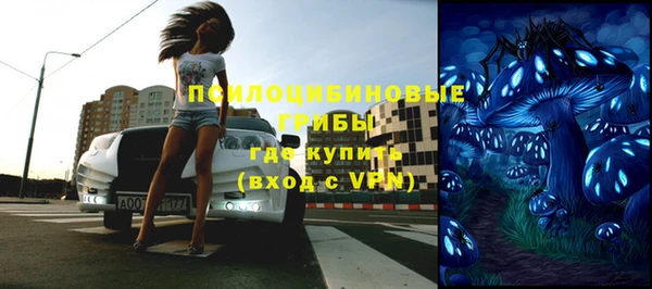 гидропоника Бородино