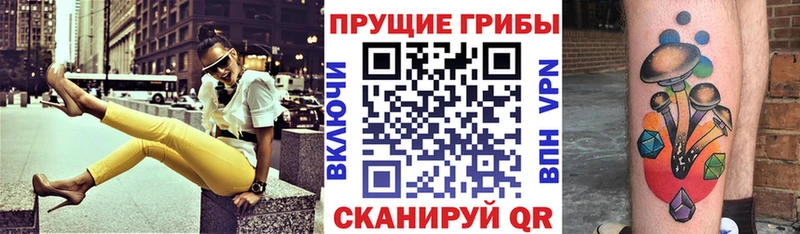 hydra Севск Галлюциногенные грибы MAGIC MUSHROOMS